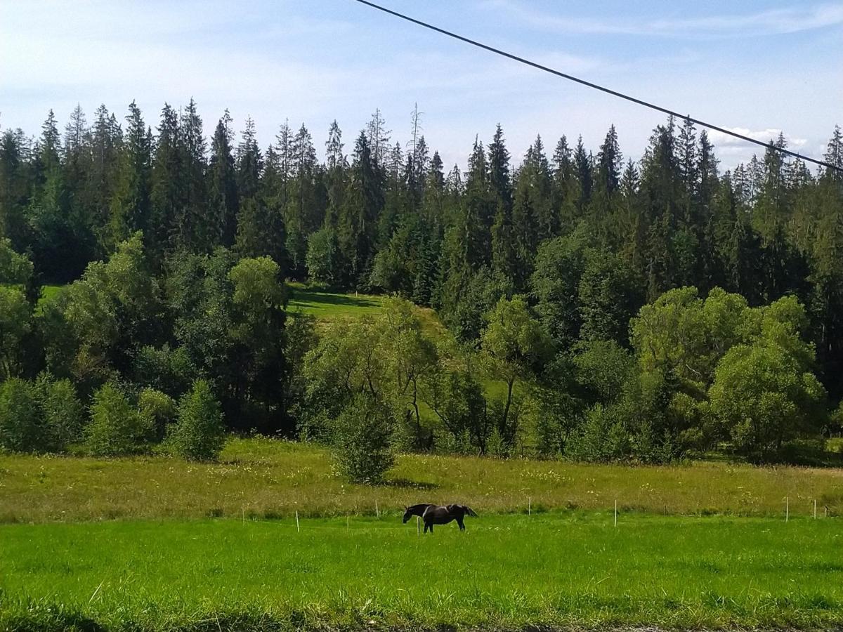 Domek U Mrugaly Poronin Εξωτερικό φωτογραφία